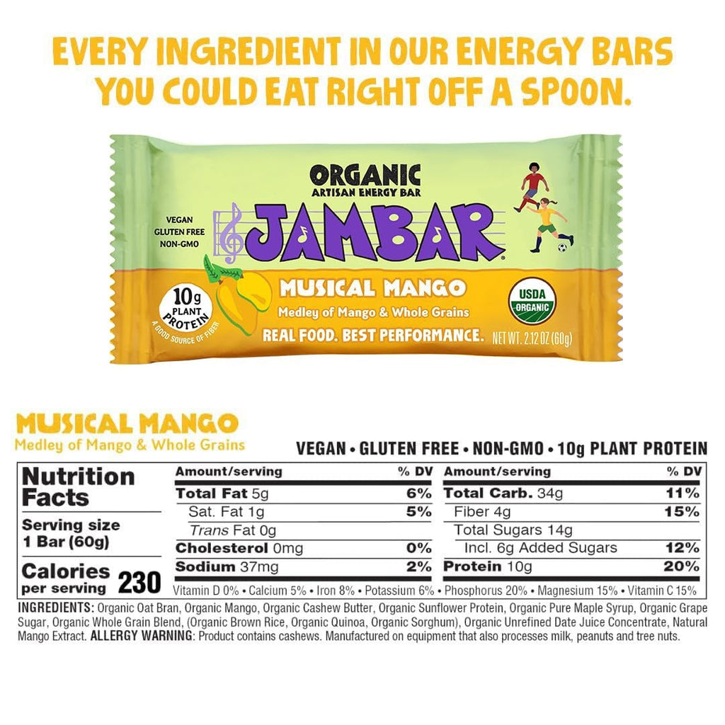 Organic Artisan Energy Bar - Musical Mango (12 CT)