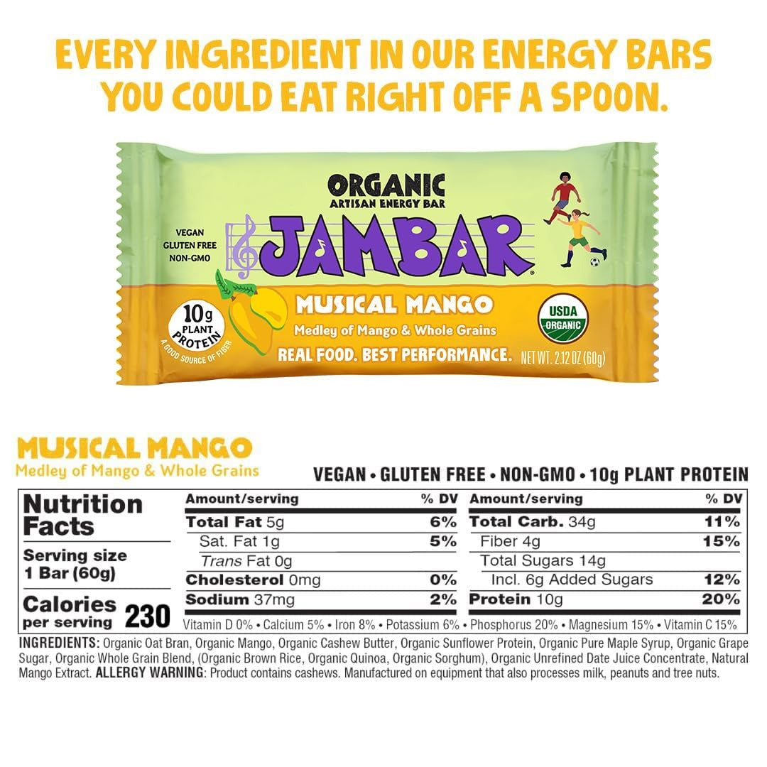 Organic Artisan Energy Bar - Musical Mango (12 CT)