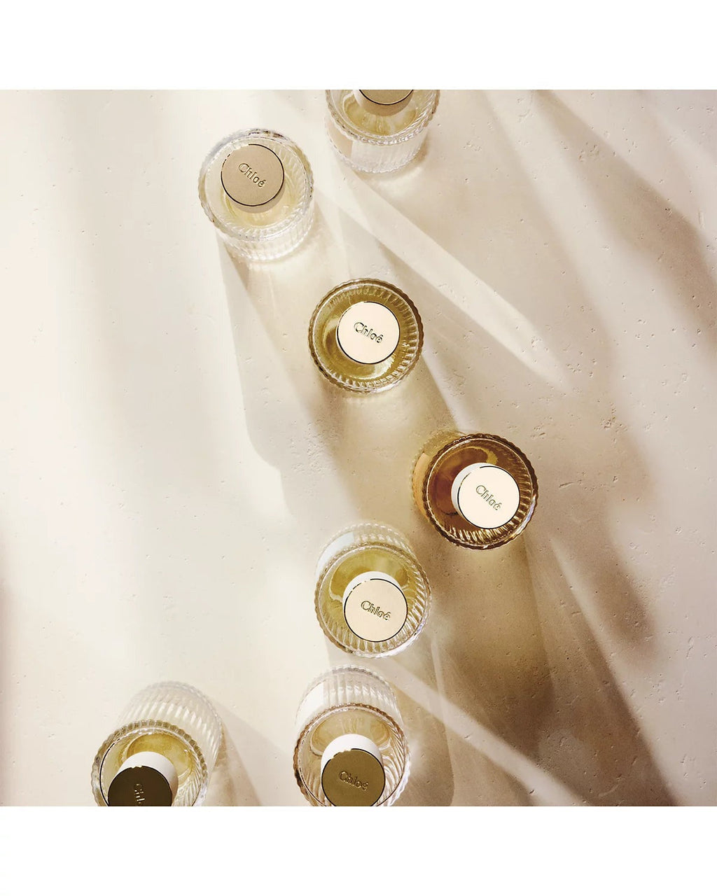 Atelier Des Fleurs Cedrus EDP