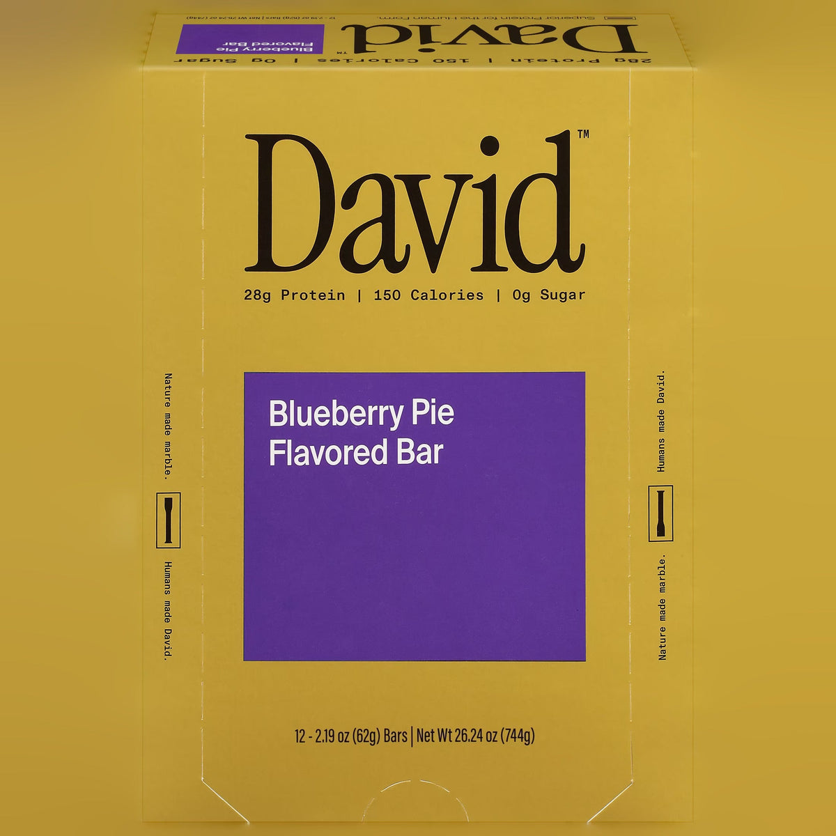 Blueberry Pie Protein Bars (12 CT)
