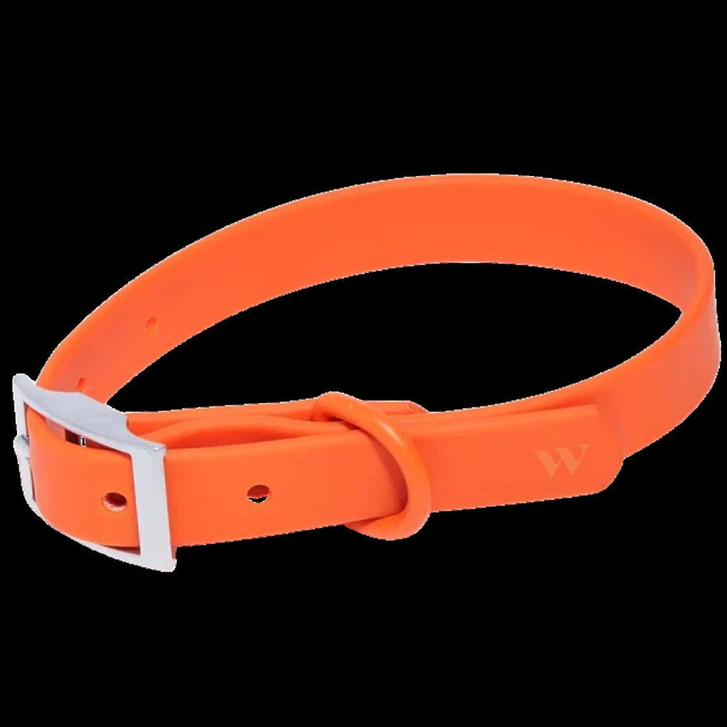 Collar - Large - Blaze