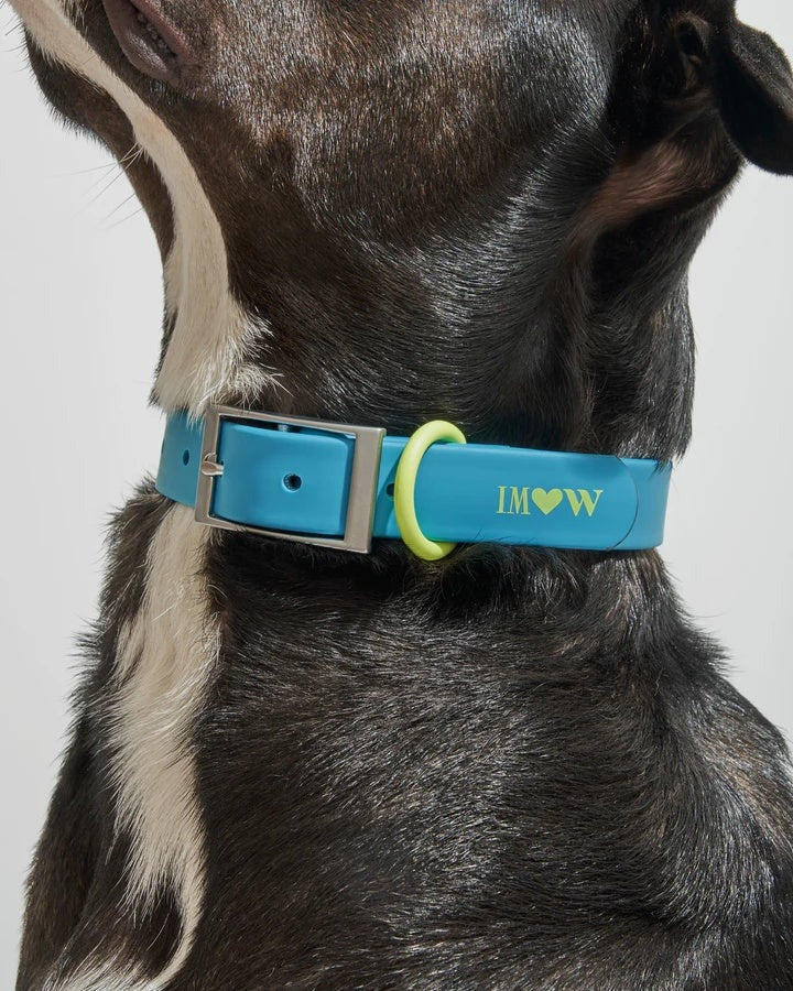 Collar Extra Large - Isaac Mizrahi Hudson Blue