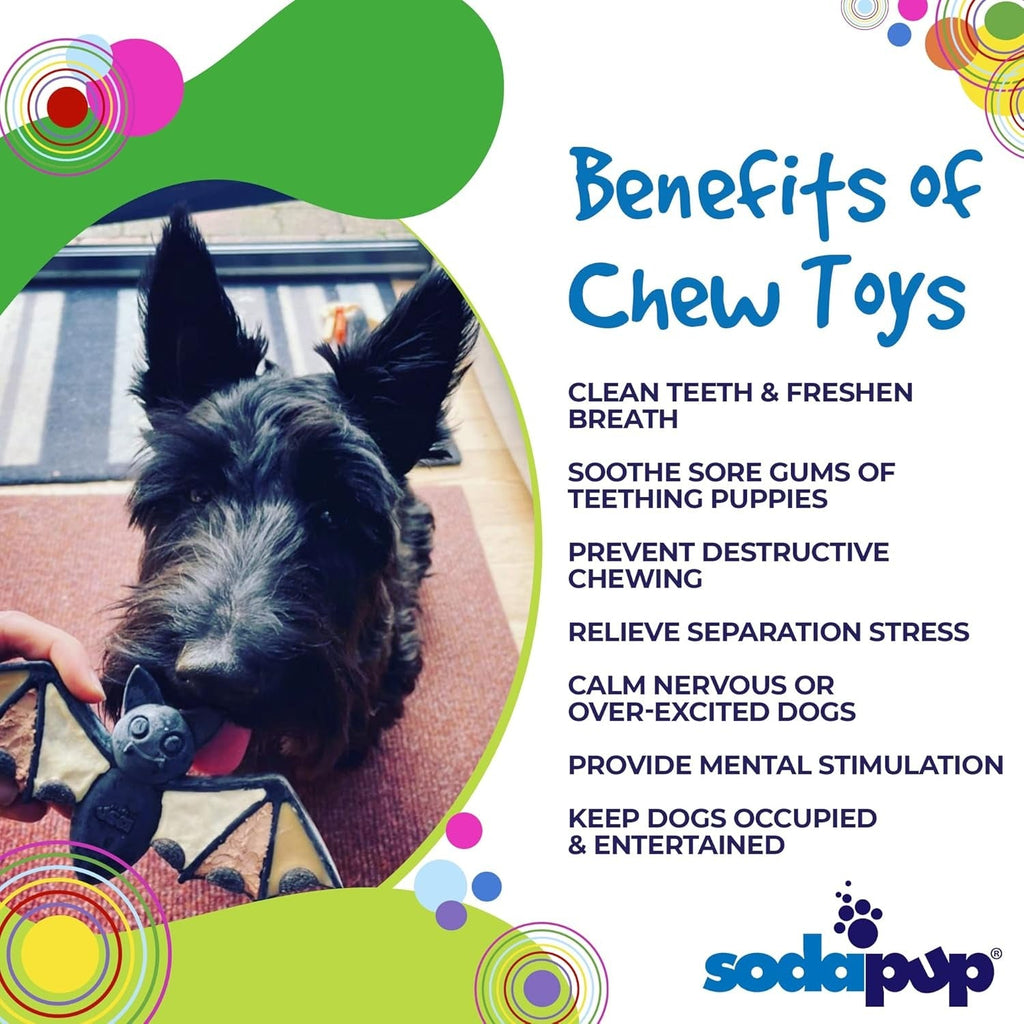Vampire Bat – Durable Dog Chew Toy