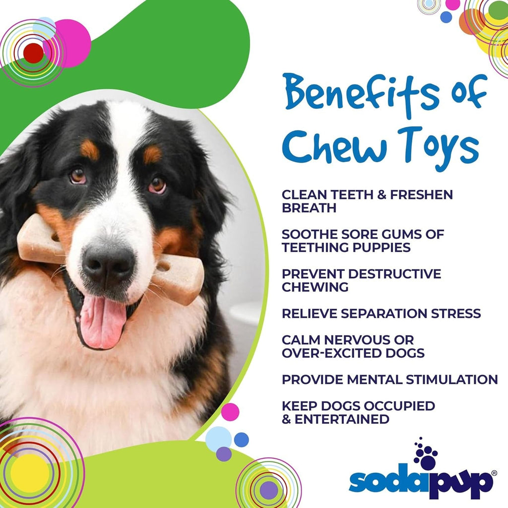 Mod Bone – Durable Dog Chew Toy and Treat Dispenser