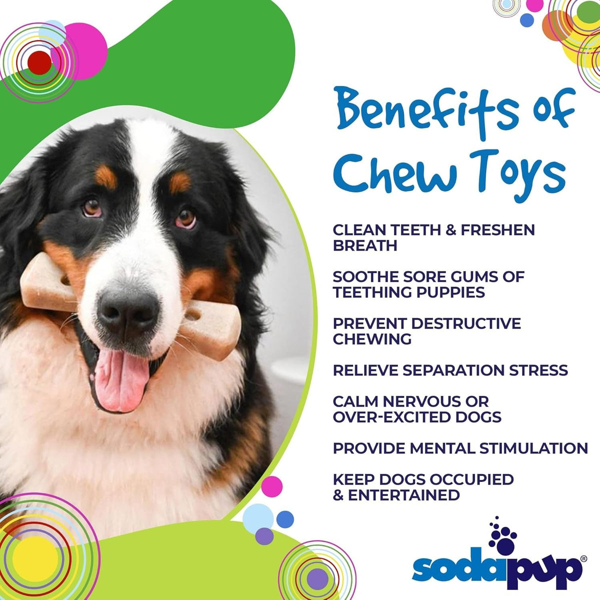 Mod Bone – Durable Dog Chew Toy and Treat Dispenser