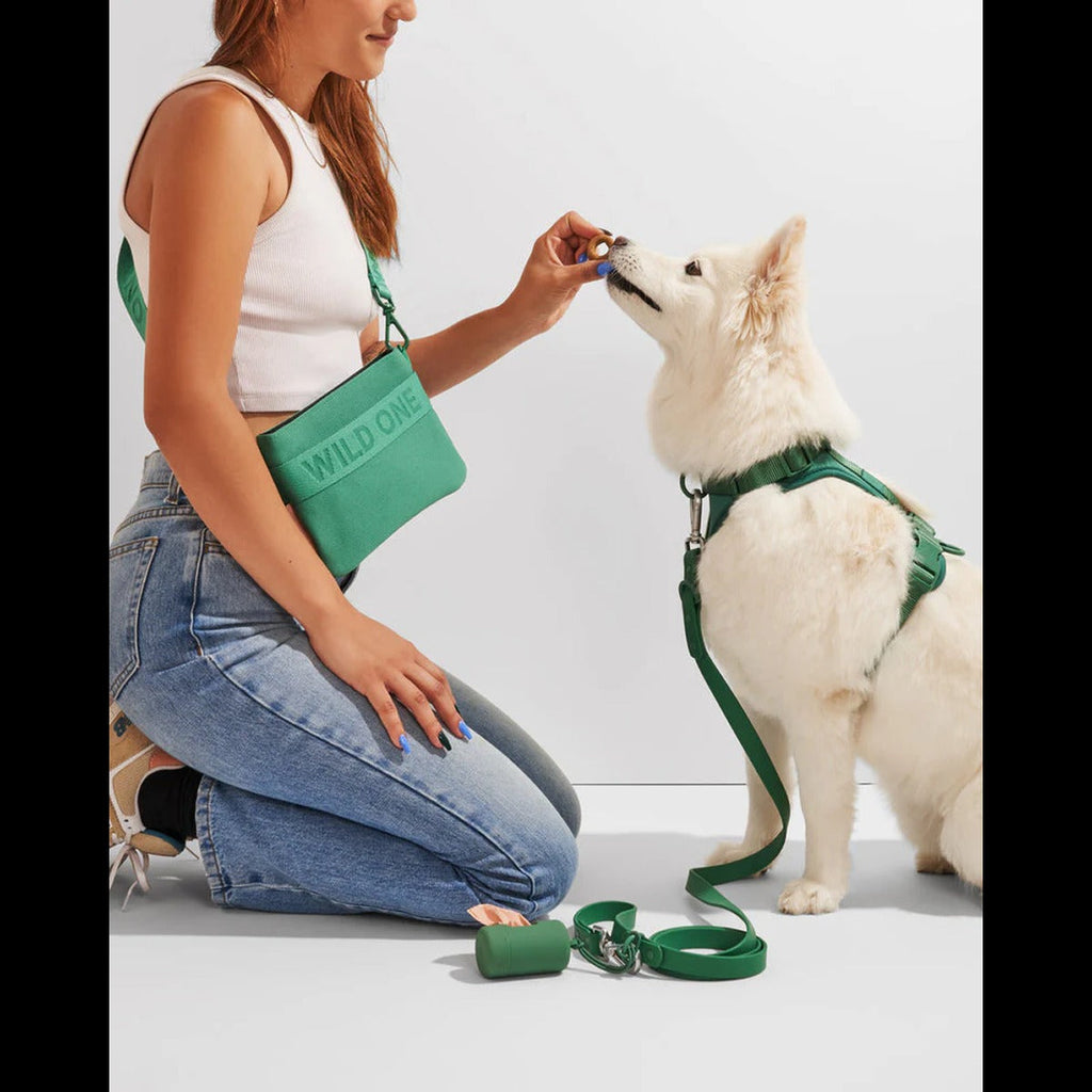 Treat Pouch - Recycled Knit - Spruce