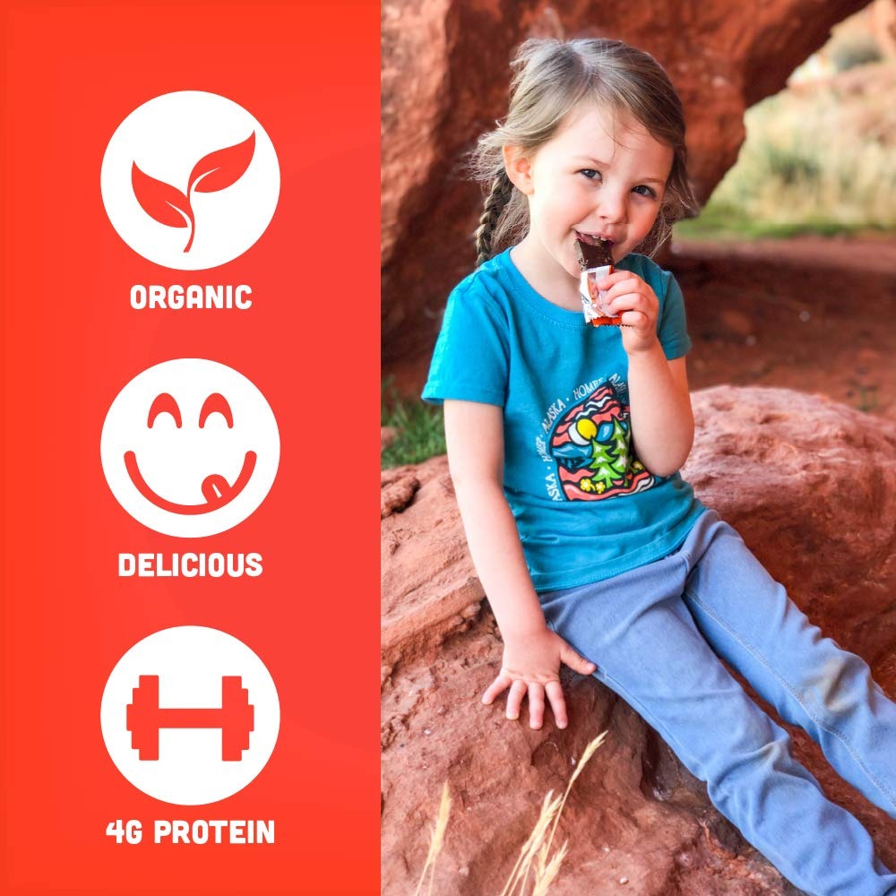 Organic Peanut Butter & Jelly Kid's Snack Bar (6 CT)