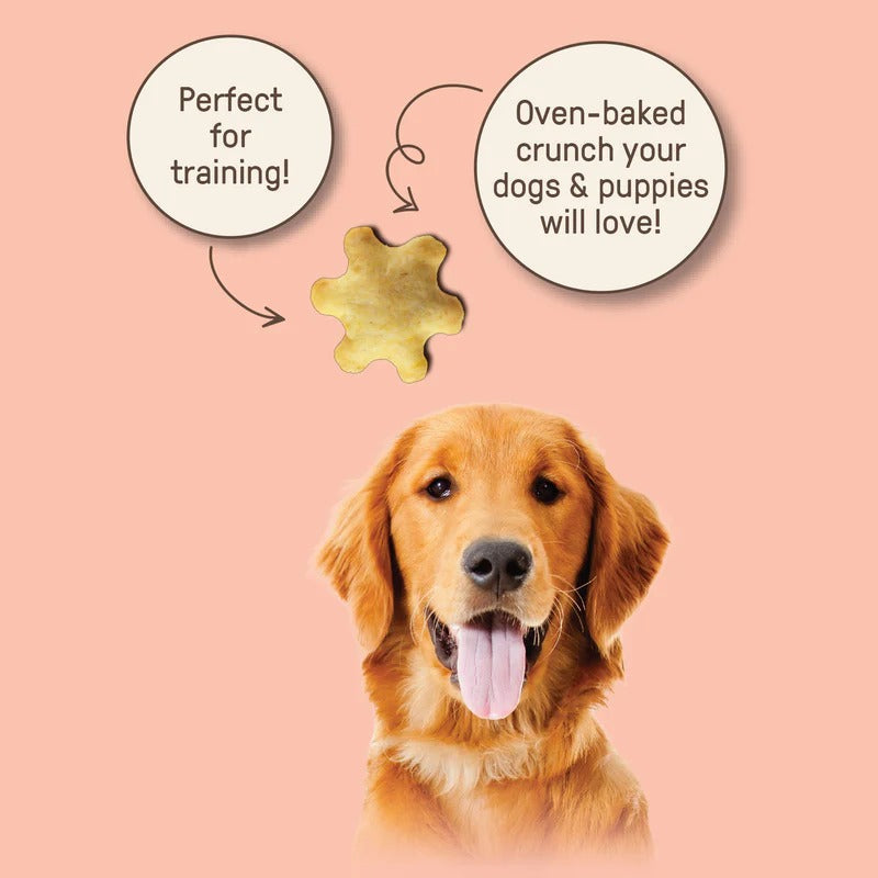 Organic Chicken Flavor Cracker