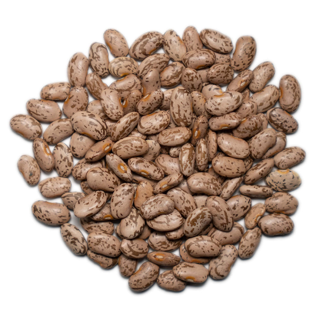 Pinto Beans