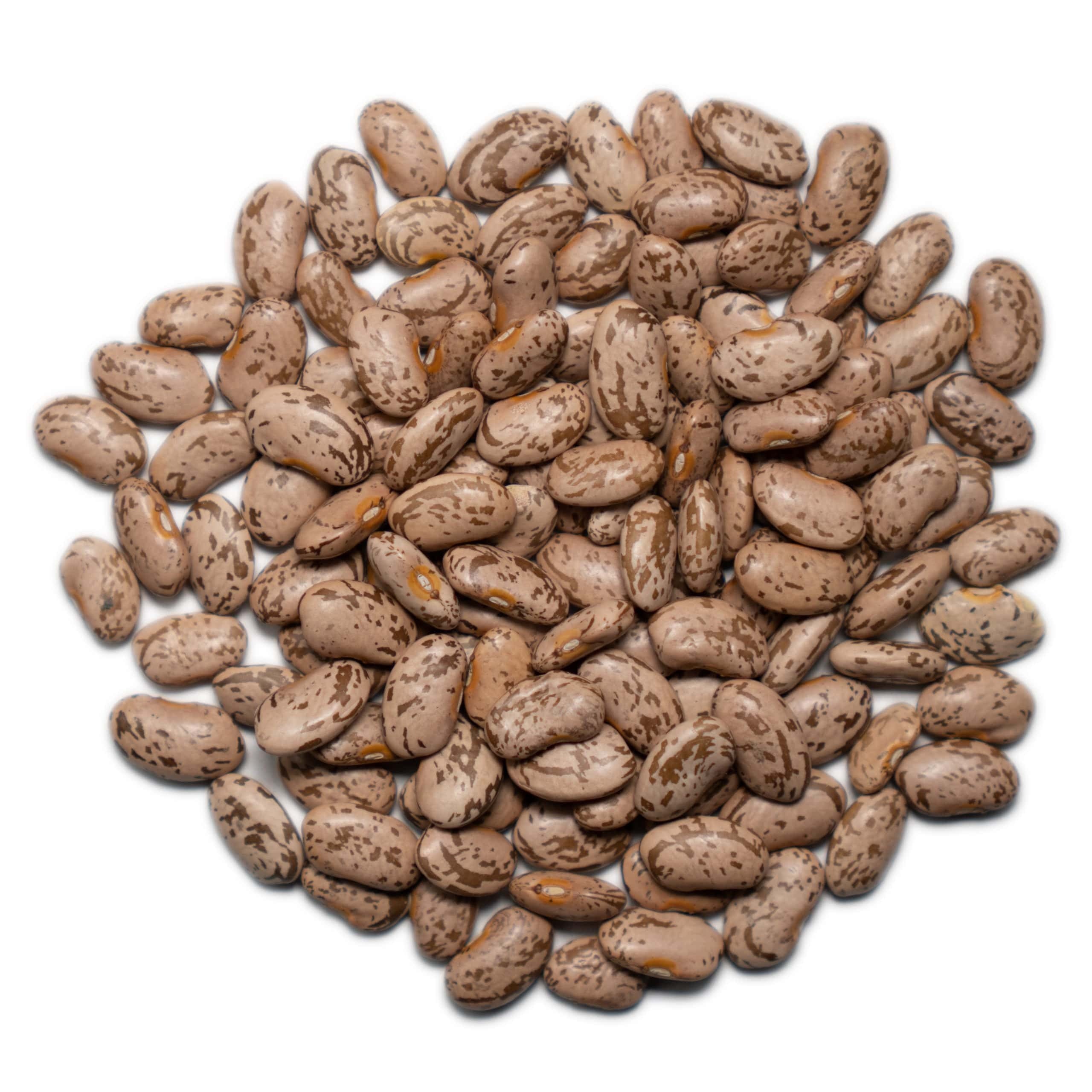 Pinto Beans