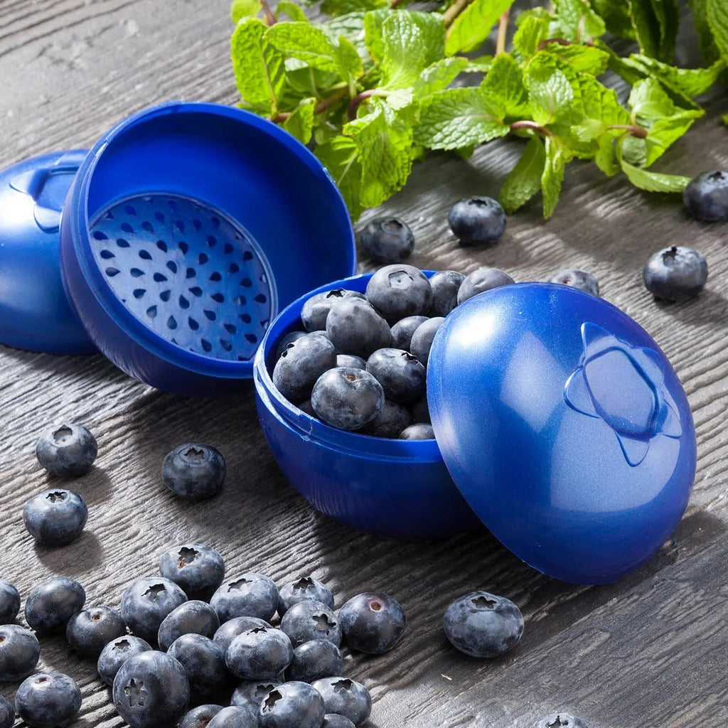 Blueberry Keeper Storage Container