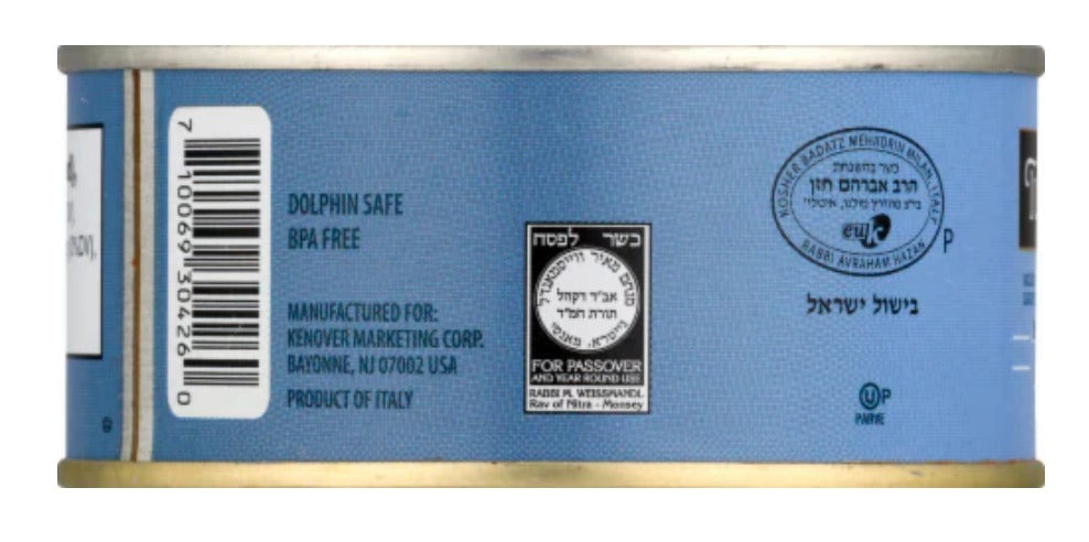 Solid Light Yellowfin Tuna in Water
