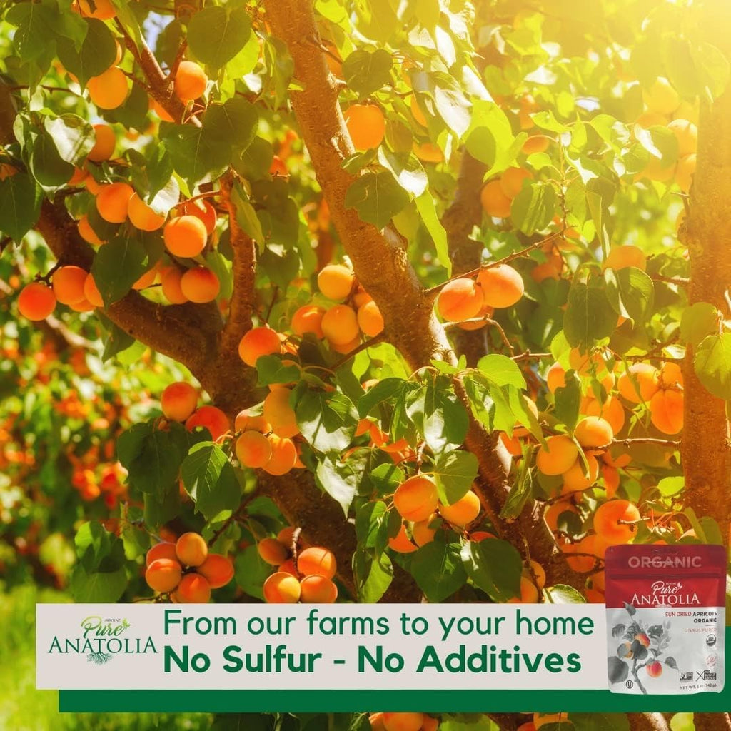 Organic Sun-Dried Apricots