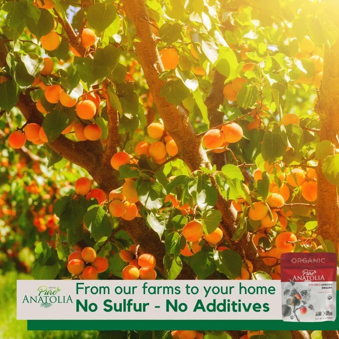 Organic Sun-Dried Apricots
