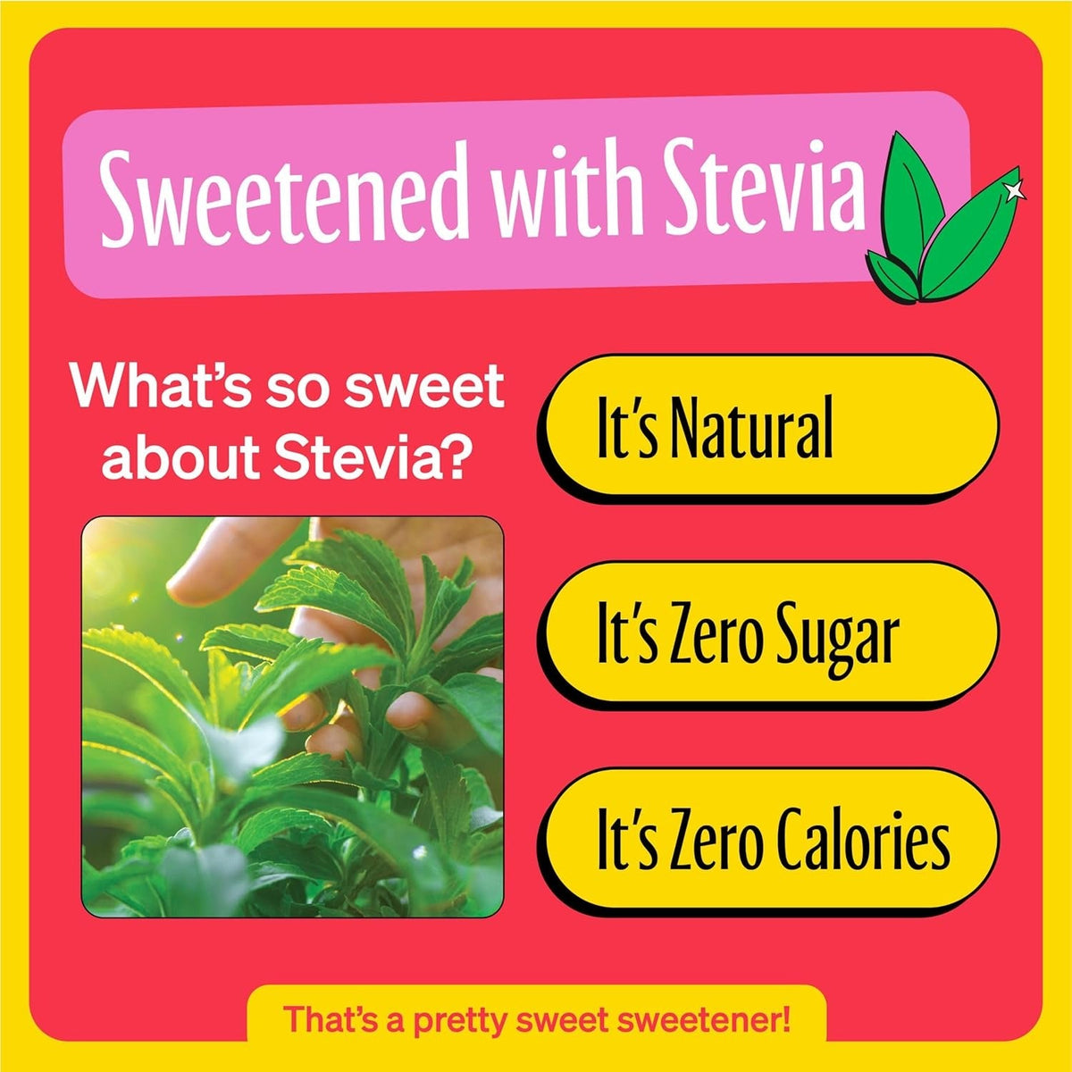 Strawberry Lemonade Kidz Soda (6 Pack)