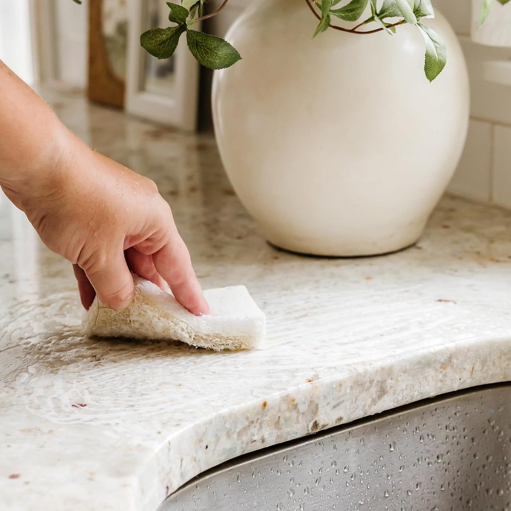 Natural Scrubber Sponge Duo Set (6 Pack)