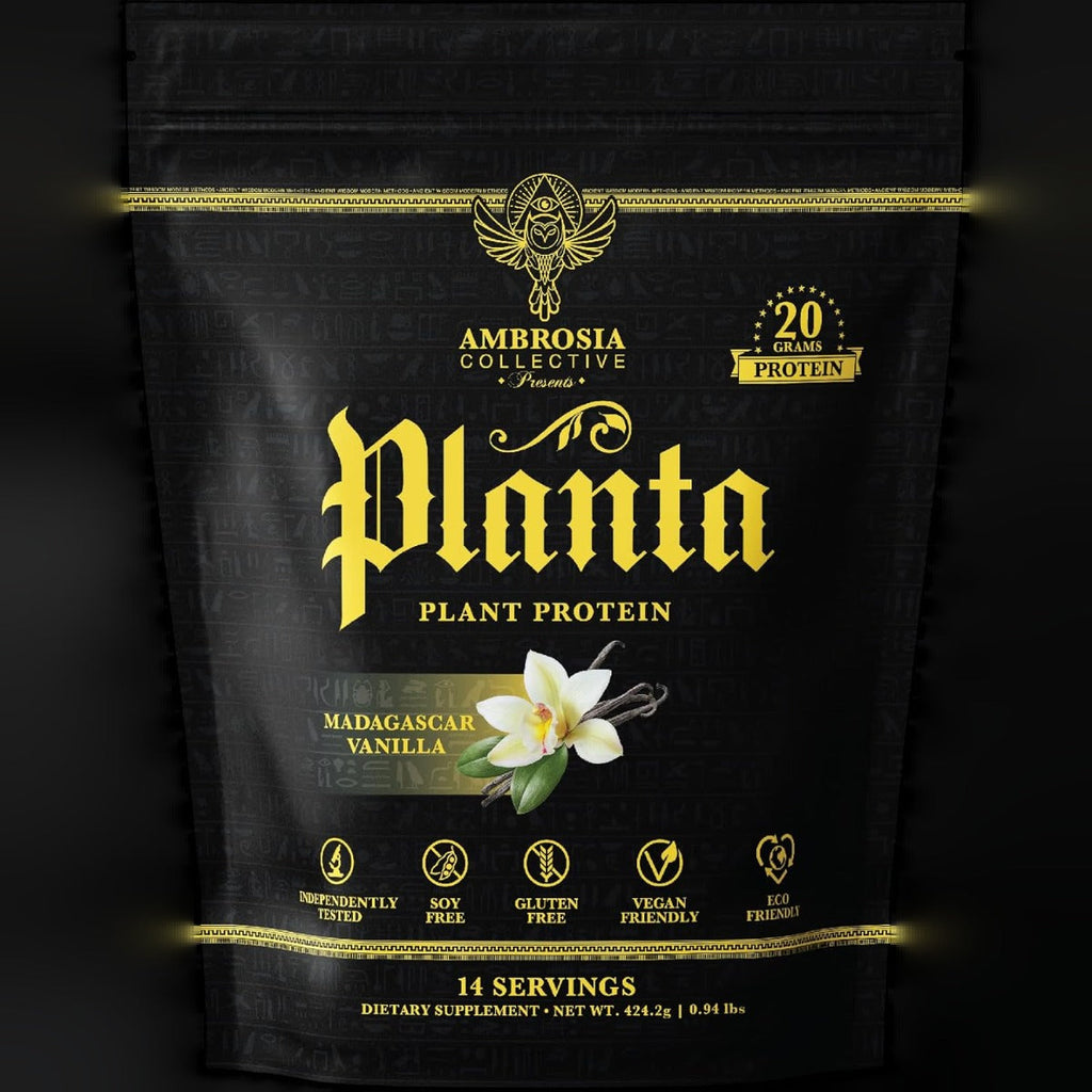 Vanilla Plant Protein