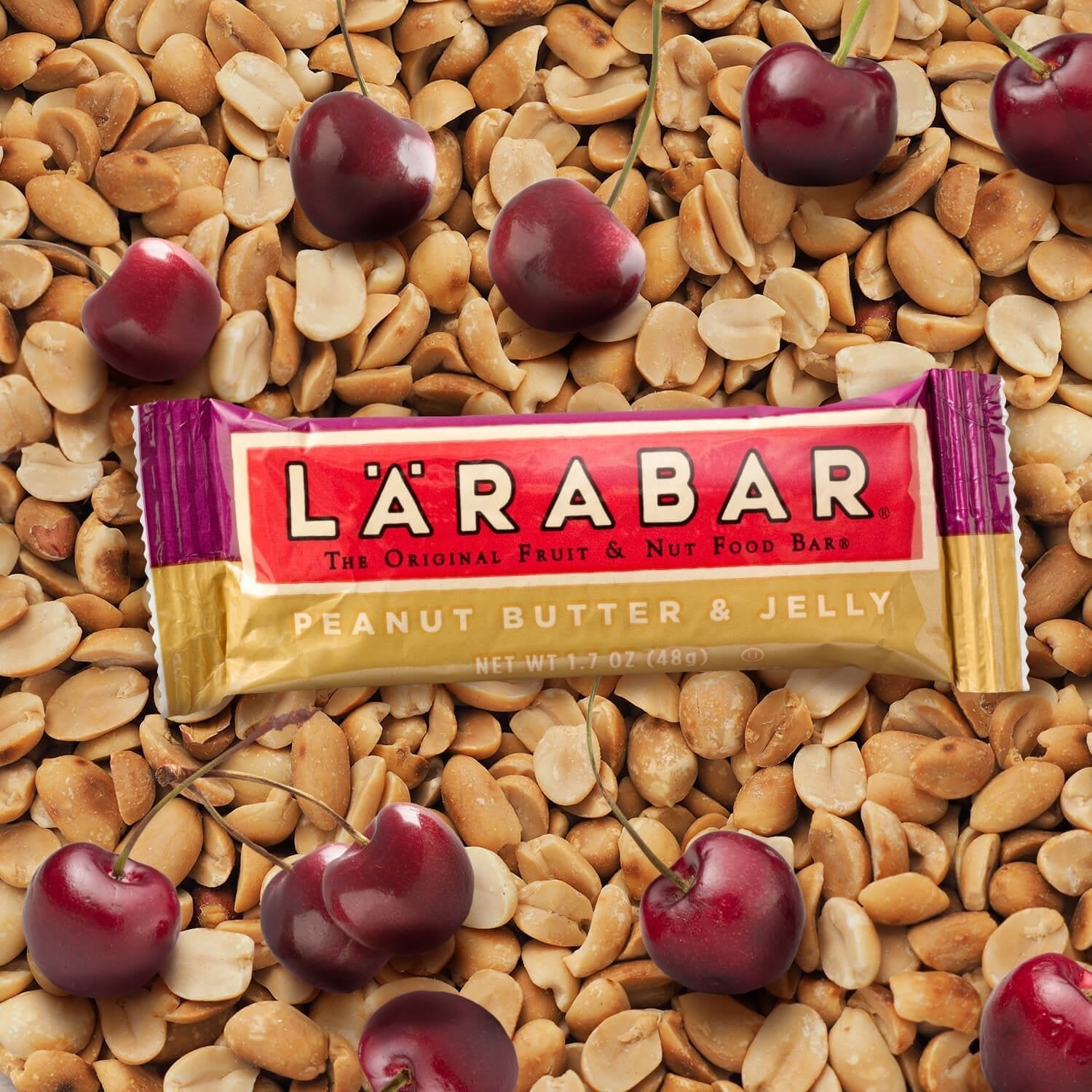 Peanut Butter Jelly Fruit & Nut Bar (16 Pack)