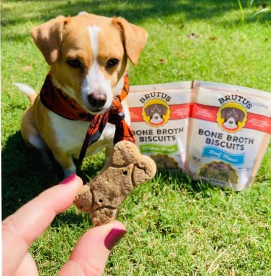 Chicken Brutus Dog Biscuit