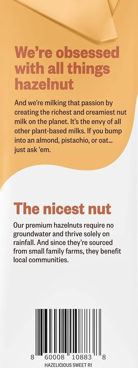 Lightly Sweetened Hazelnut Milk