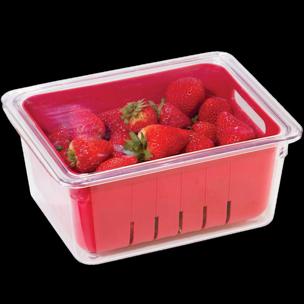 Berry Bin 8.75" x 6.75" - Single Strainer Basket