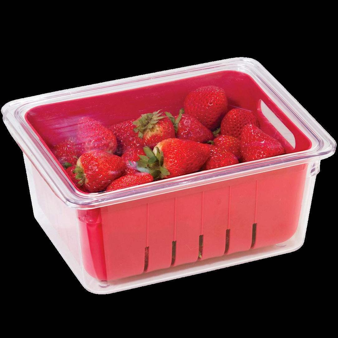 Berry Bin 8.75" x 6.75" - Single Strainer Basket
