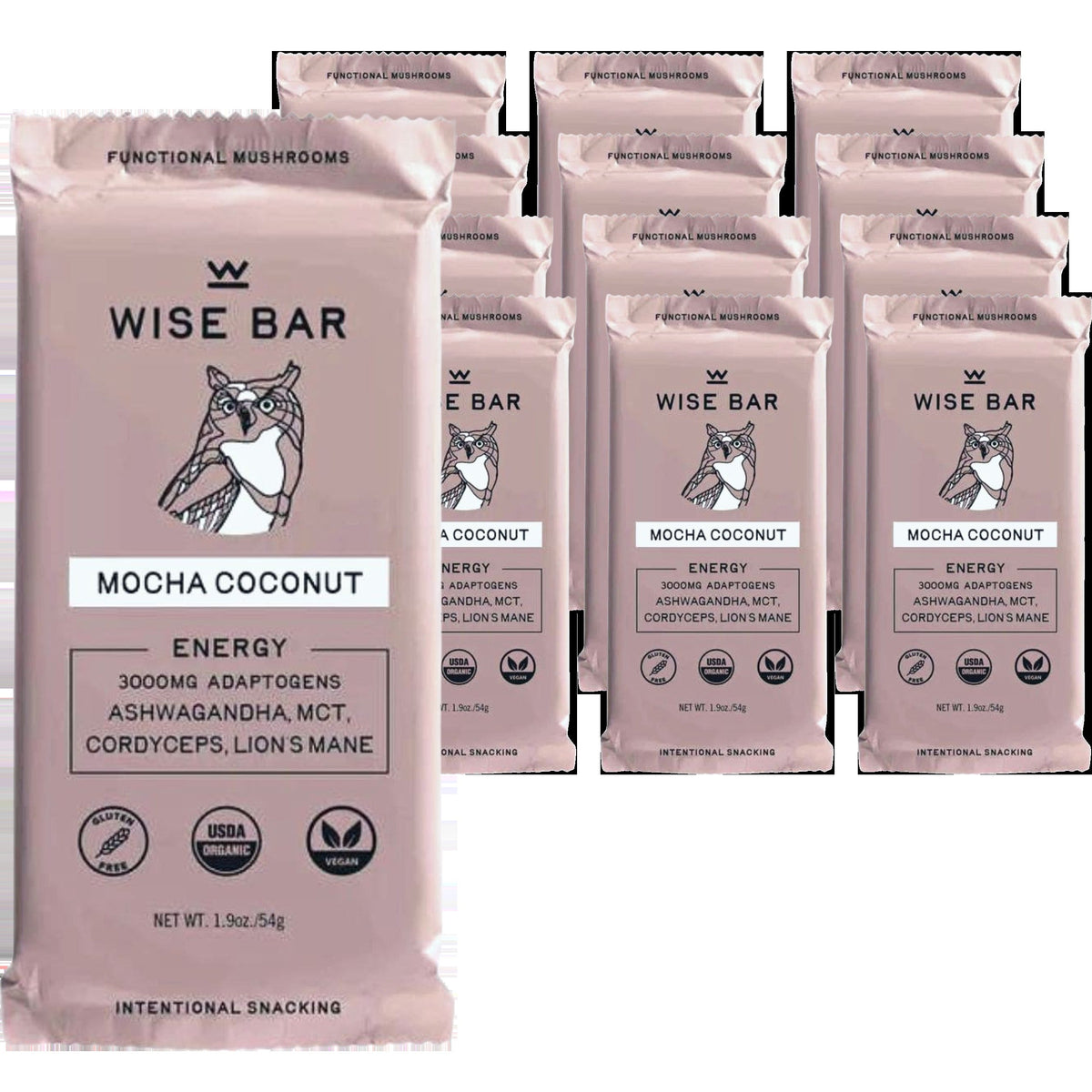 Coconut Mocha Bar (12 Pack)