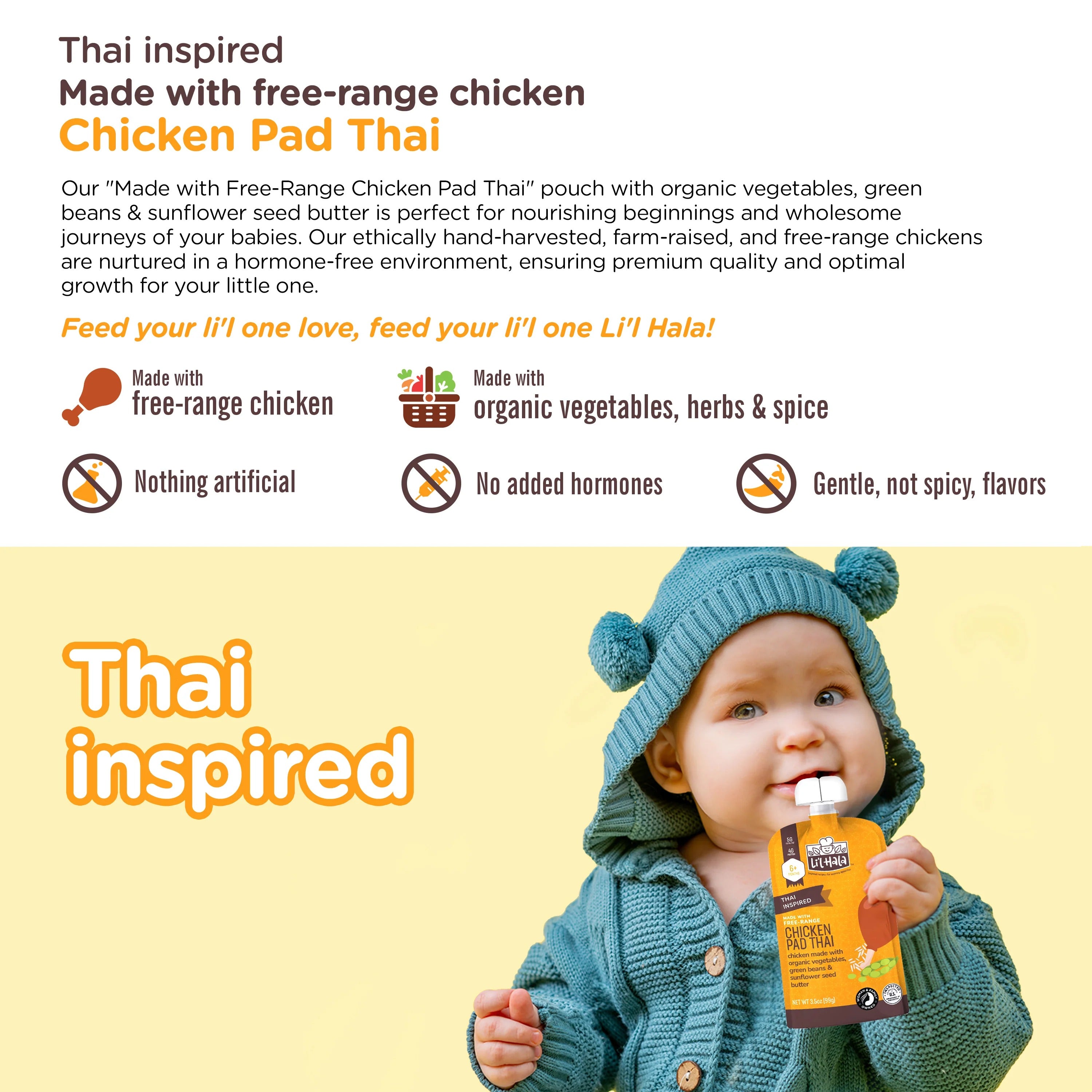 Chicken Pad Thai Pouches (6 CT)