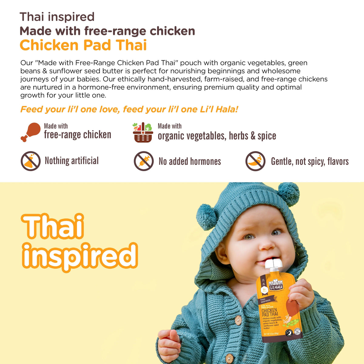 Chicken Pad Thai Pouches (6 CT)