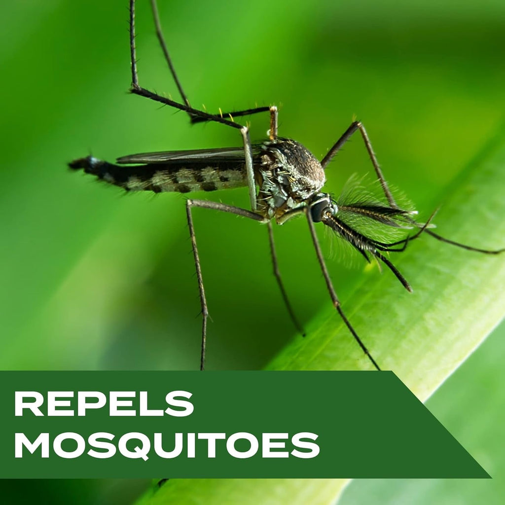 Mosquito Repellent Spritz