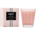 Himalayan Salt + Rosewater Scented Classic Candle