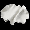Frida White Porcelain Decorative Plate