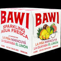 Sparkling Agua Fresca Variety (4 Pack)