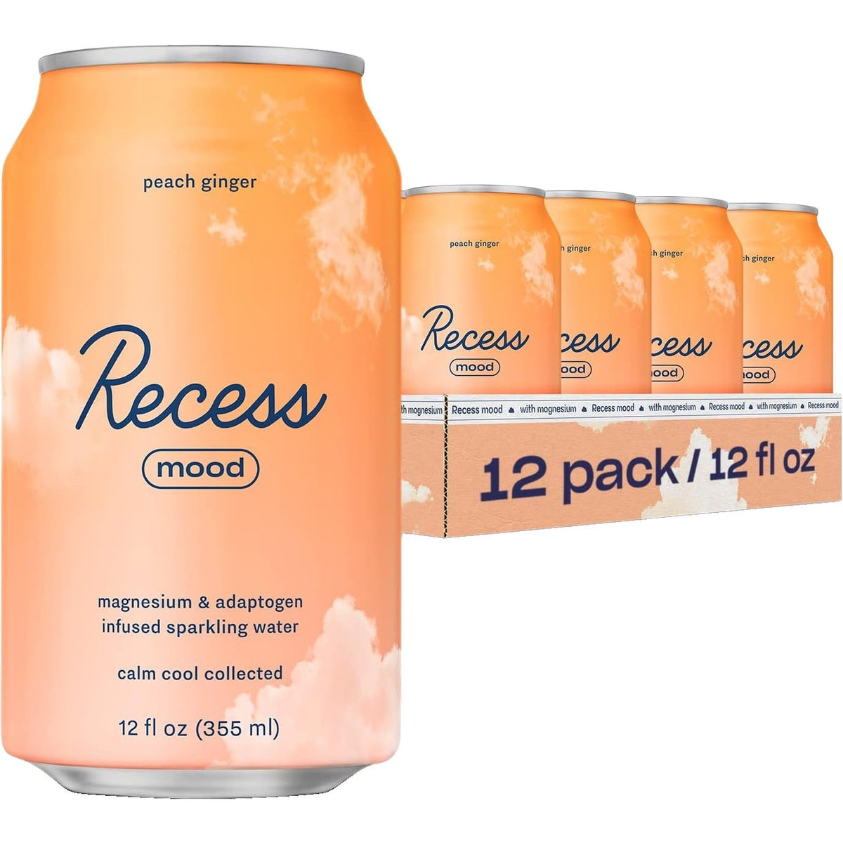 Peach Ginger Sparkling Water (12 Pack)