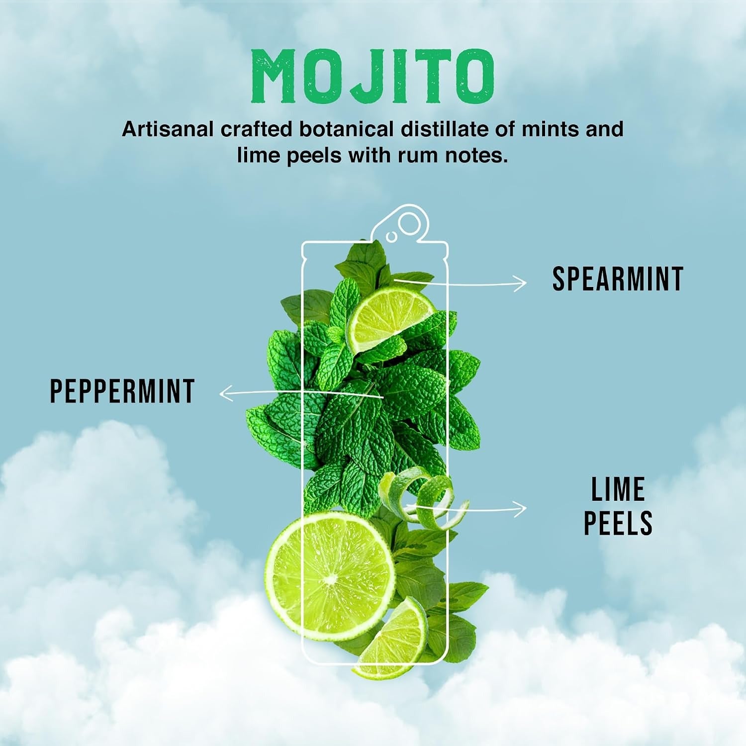 Mojito Mocktail (4 CT)