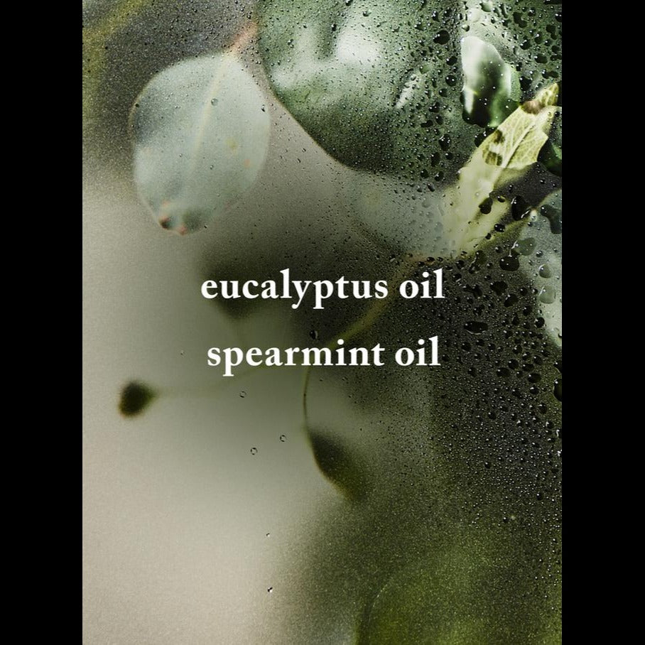Eucalyptus Spearmint Bath Fizzy