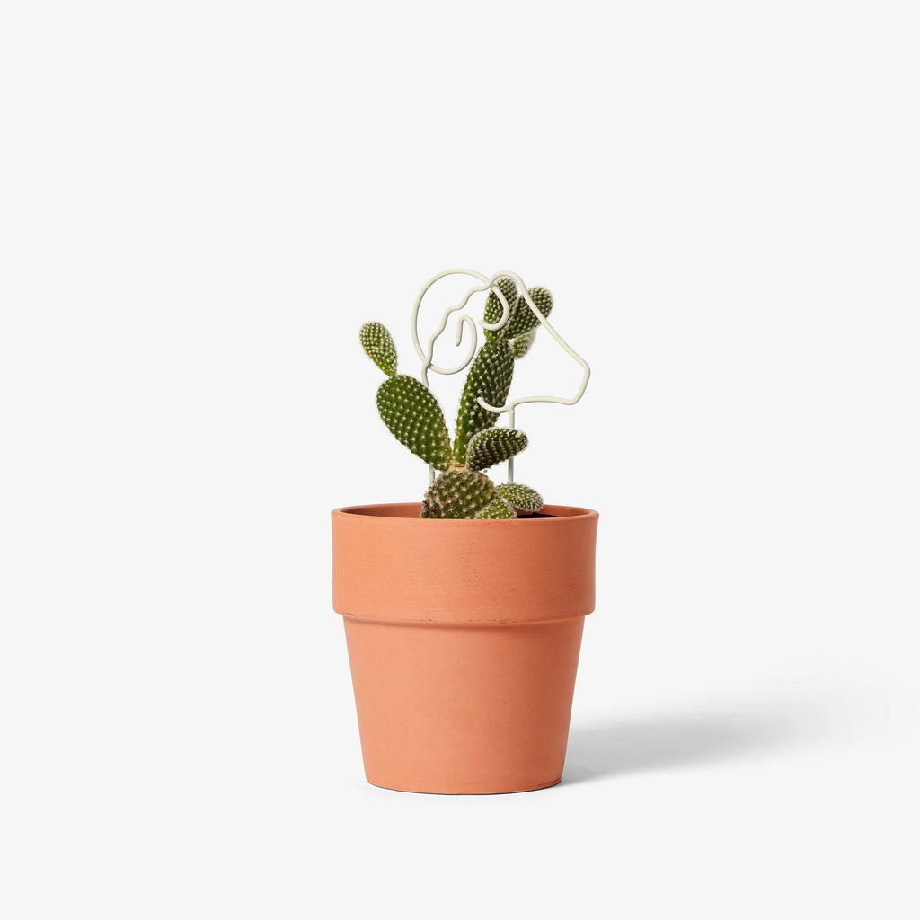 Plant Trellis - Ram (Tall)