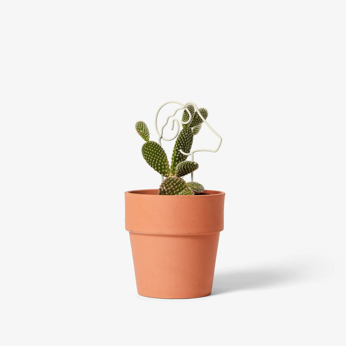 Plant Trellis - Ram (Tall)
