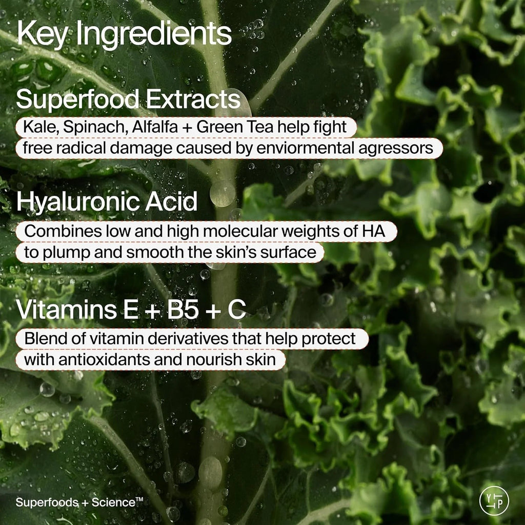 Superfood Hyaluronic Acid Air-Whip Moisture Cream
