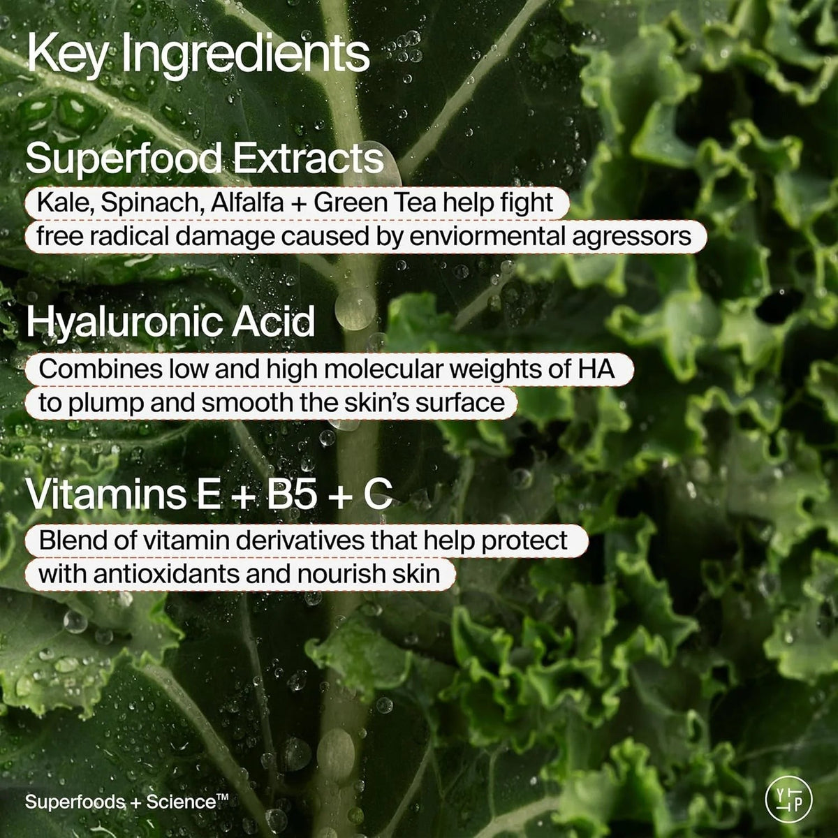 Superfood Hyaluronic Acid Air-Whip Moisture Cream