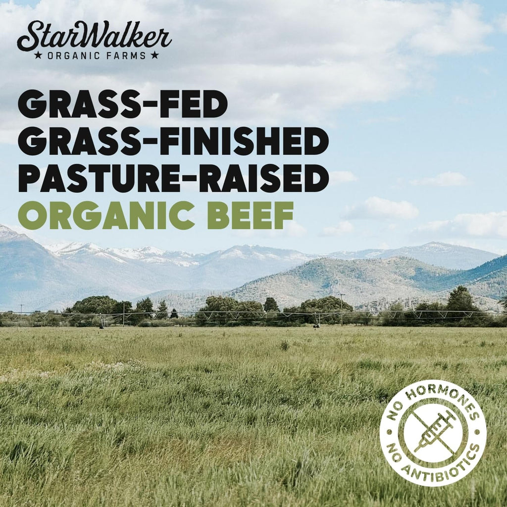 Organic Carne Asada Beef Jerky