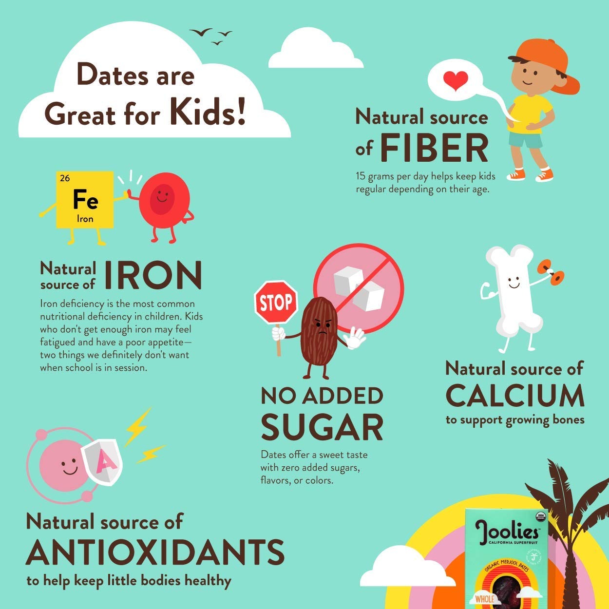 Organic Medjool Dried Fruit Dates (12CT)