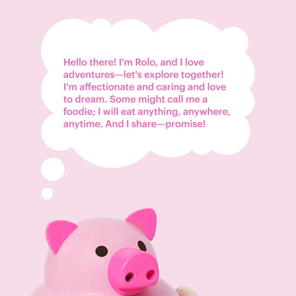 Palimal Toy Figurine With Magnets - Pig Color