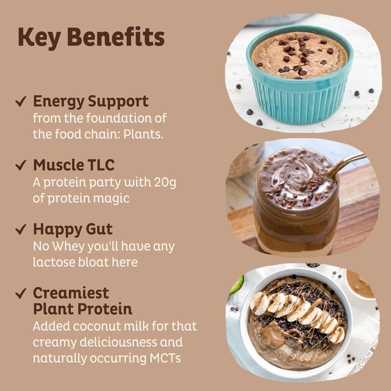 Organic Plant Protein Powder - Chocolate