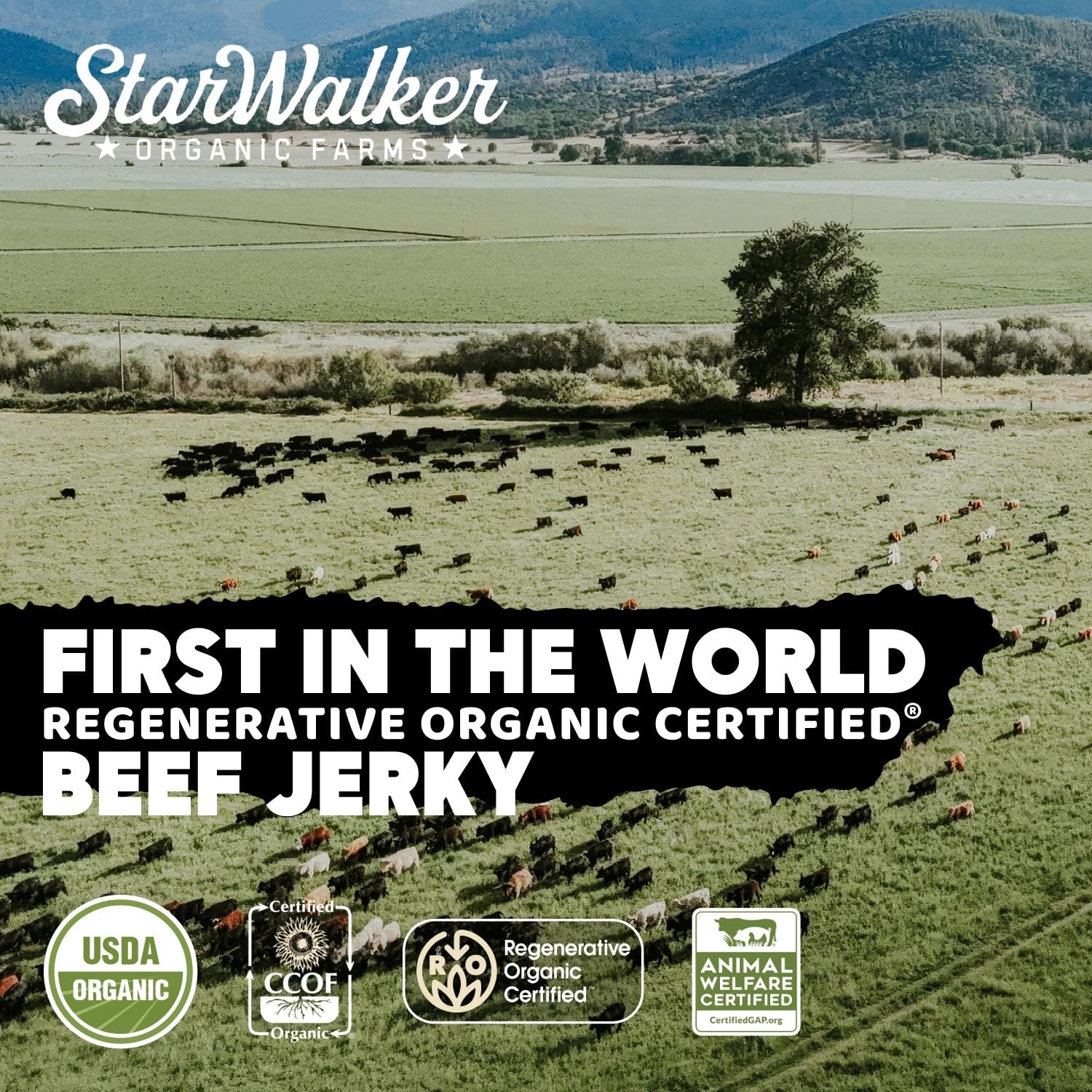 Organic Simply Salt And Pepper Beef Jerky