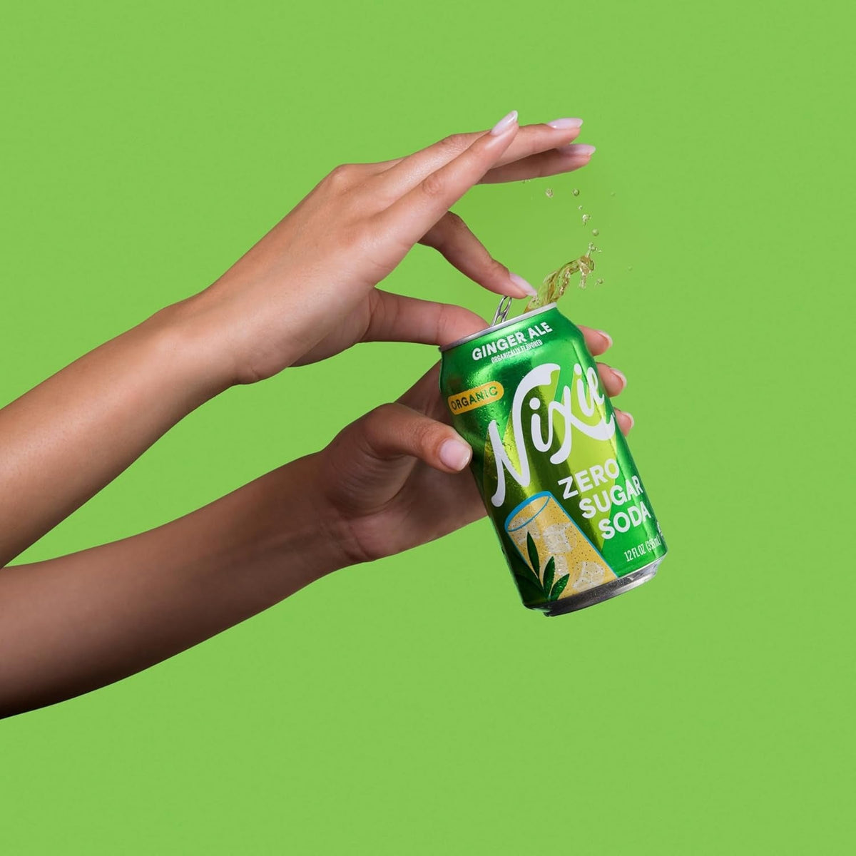 Organic Ginger Ale Zero Sugar Soda (12 Pack)