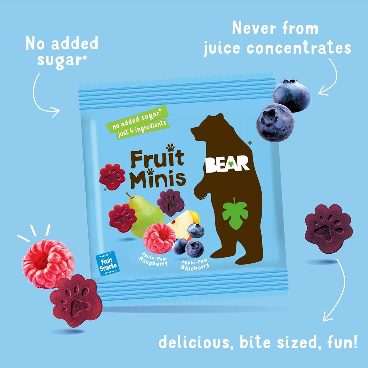 Fruit Minis - Raspberry & Blueberry