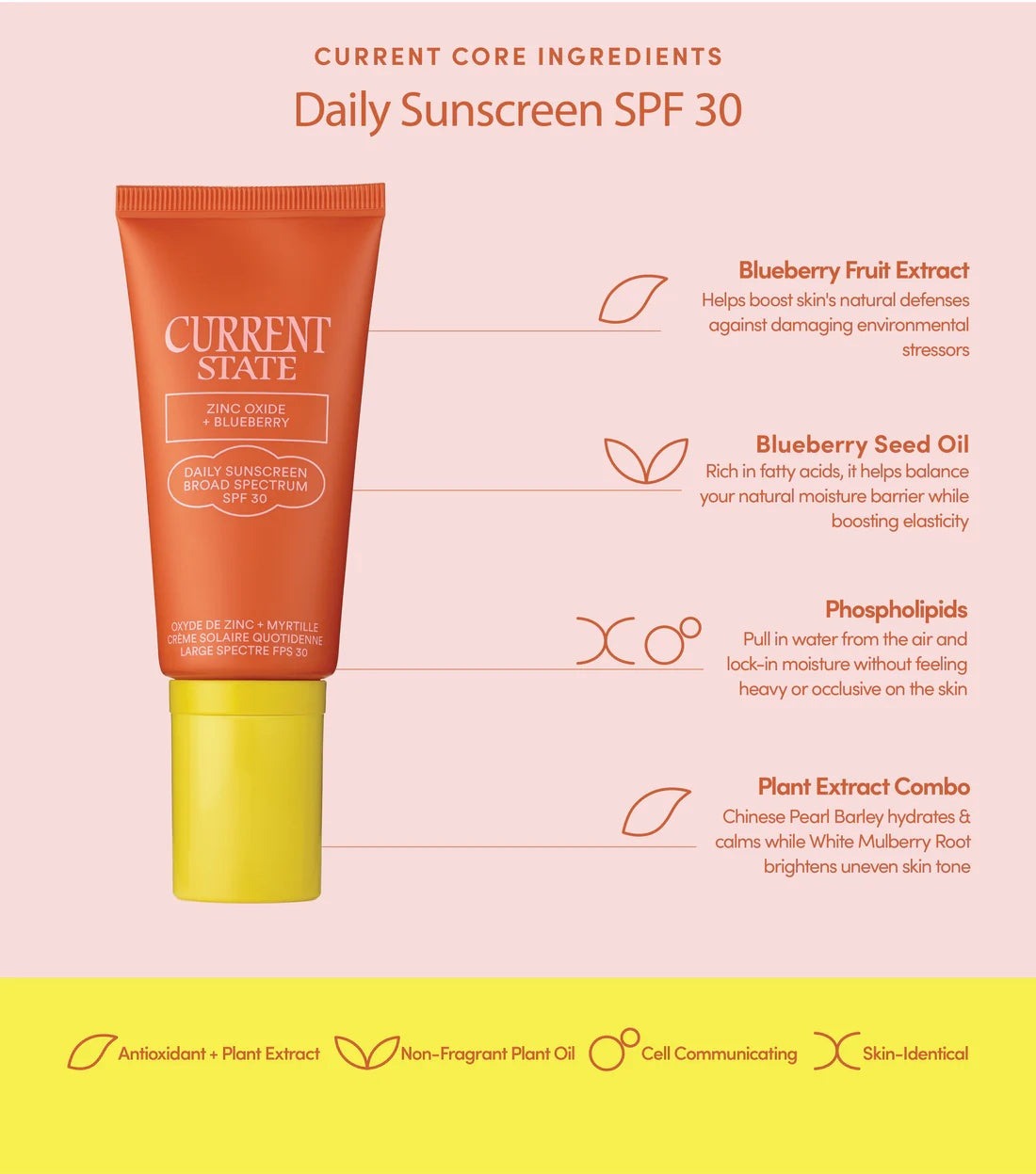 Zinc Oxide and Blueberry Daily Sunscreen Broad Spectrum SPF 30